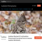 pa.audubon.org pa.audubon.org