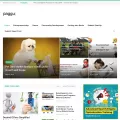 paggu.com paggu.com
