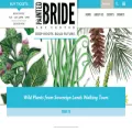 paintedbride.org paintedbride.org