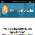 palmettolifesc.com palmettolifesc.com