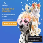 parade.pet parade.pet