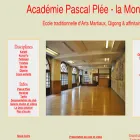 pascal-plee.com