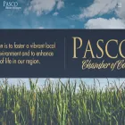pascochamber.org pascochamber.org