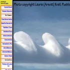patarnott.com