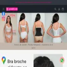 patce.com.mx