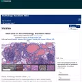 pathinfo.wikia.com pathinfo.wikia.com