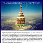 patrulrinpoche.org