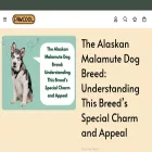 pawcool.com