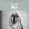 paw-social.com