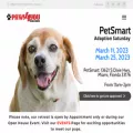 paws4you.org