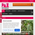 pazcondignidad.org pazcondignidad.org