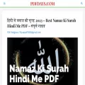 pdfdays.com