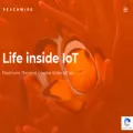 peachwire.com