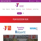 pearblossomrun.com