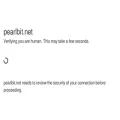 pearlbit.net pearlbit.net