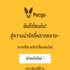pecgo.com pecgo.com