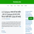 pecindia.org pecindia.org