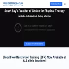 performanceplusphysicaltherapy.com