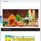 periodicoecodecundinamarca.com