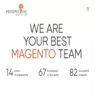 perspectiveteam.com perspectiveteam.com