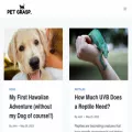 petgrasp.com petgrasp.com