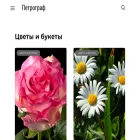 petrograph.ru