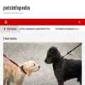 petsinfopedia.com
