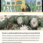 peyoteway.org