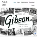 photobygibson.com