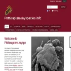 phthiraptera.info phthiraptera.info