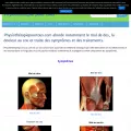 physiotherapiepourtous.com