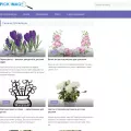 pickimage.ru