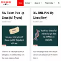pickuplinesidea.com