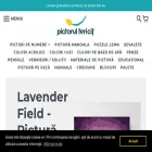 pictorulfericit.ro
