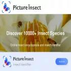 pictureinsect.com