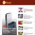 picuki.info