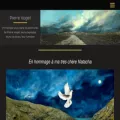 pierrevogel.com pierrevogel.com