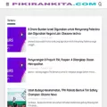 pikirankita.com