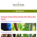 pinchofseeds.com