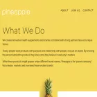 pineapple.co