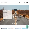 pineappleroad.de pineappleroad.de