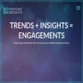pinpoint-insights.com
