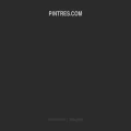 pintres.com