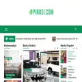 pinusi.com