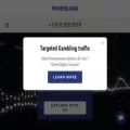 pioneerlead.co.uk pioneerlead.co.uk