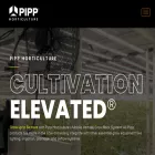 pipphorticulture.com pipphorticulture.com
