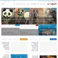 pitria.com pitria.com