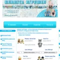 planetatoys.ru