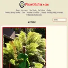 planetshifter.com