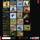 planetstillalive.com planetstillalive.com
